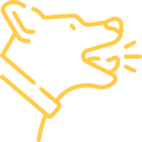 Animal Control Report Icon