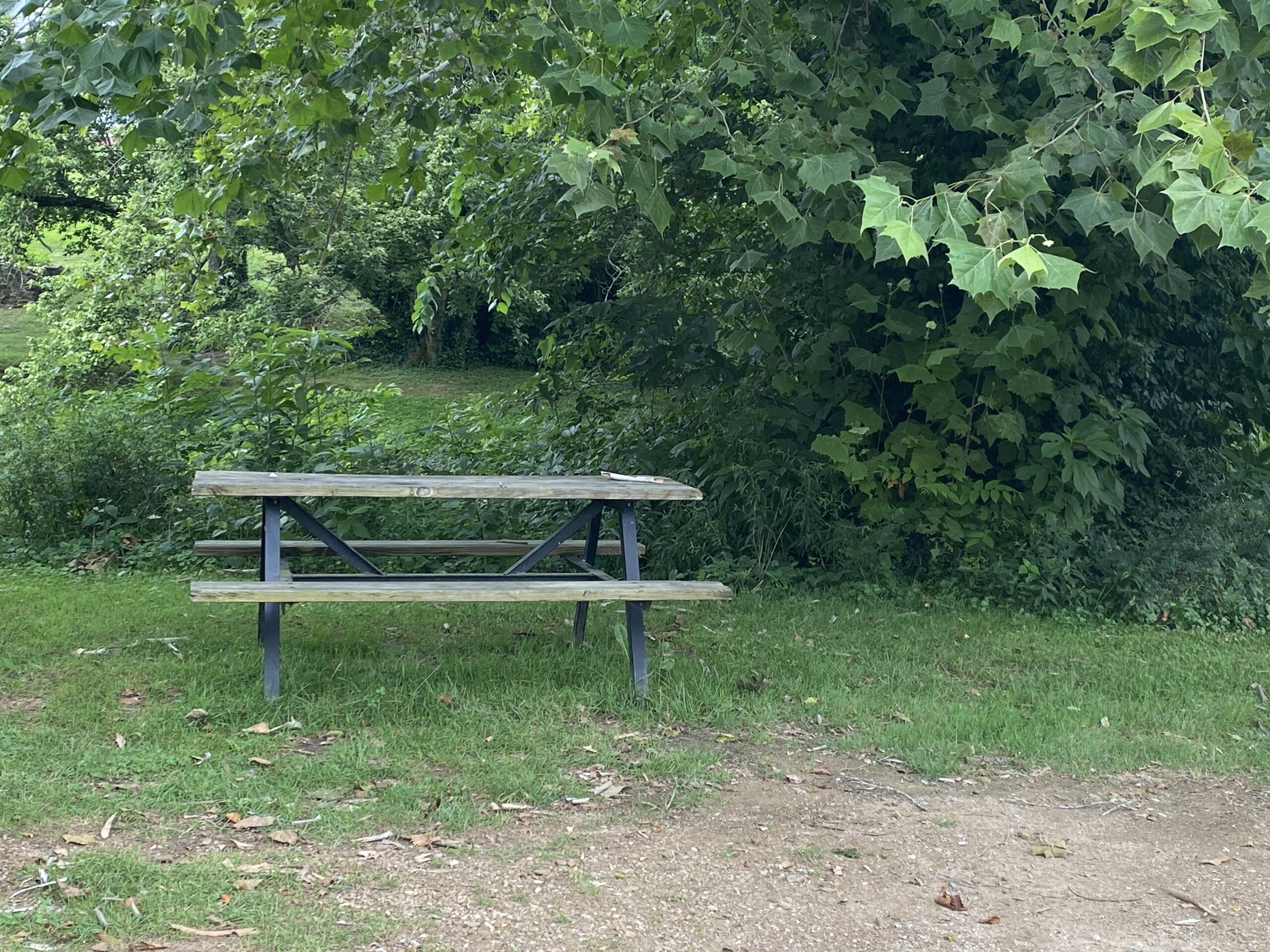 Brookside Park Picnic Table