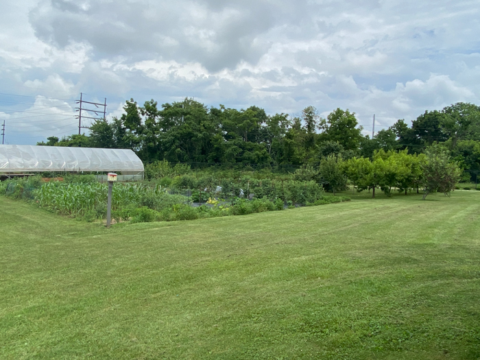 Garden Park Fuit Trees &amp; Plots
