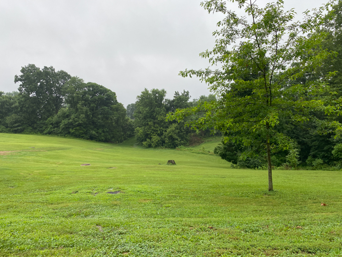 Wilson Park Green Space