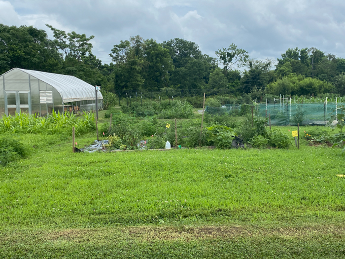 Garden Park Plots