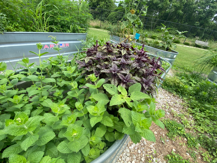 Garden Park Raised Bed