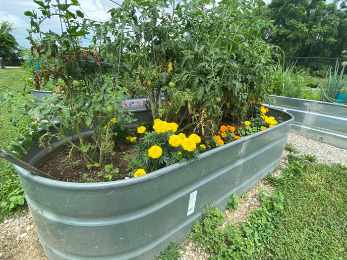 Garden Park Raised Bed